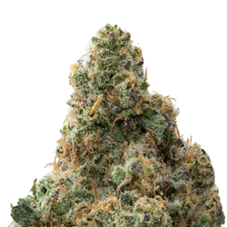 Zangria Premium Indoor THCa Flower macro