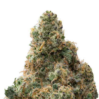 Zangria Premium Indoor THCa Flower 3.5g