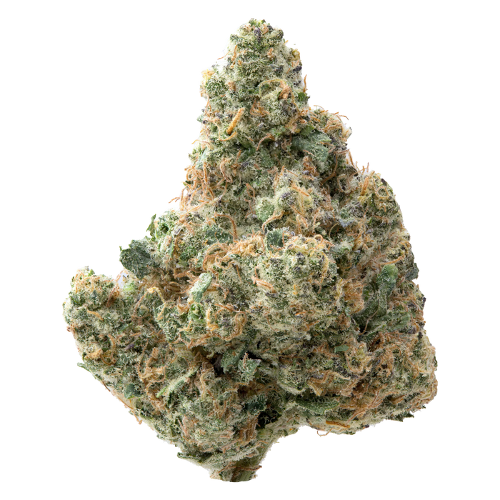 Zangria Premium Indoor THCa Flower nug