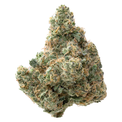 Zangria Premium Indoor THCa Flower nug