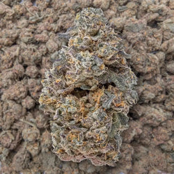 Zereal THCA Flower supergreenshempco