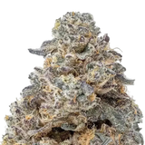 Zereal THCA Flower