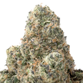 Zours Big THCA Flower macro