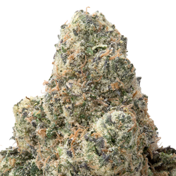 Zours Big THCA Flower macro