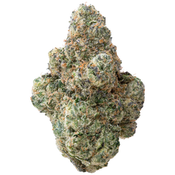 Zours Big THCA Flower nug