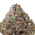 Acai Runtz THCa Flower macro