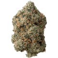 Alien OG THCa Flower nug