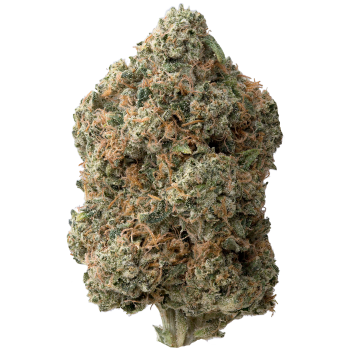 Alien OG THCa Flower nug