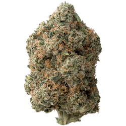 Alien OG THCa Flower nug