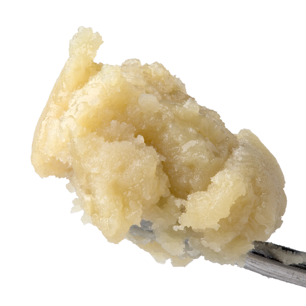 Banana Punch Live Rosin