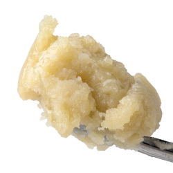 Banana Punch Live Rosin