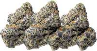 3.5 Grams<br> Exotic THCa Flower
