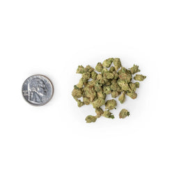 Bubble Bath Indoor Micros Ounce quarter