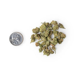 Cherry Drizzle Indoor Micros Ounce quarter