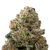 Colombian Gold THCa Flower Ounce