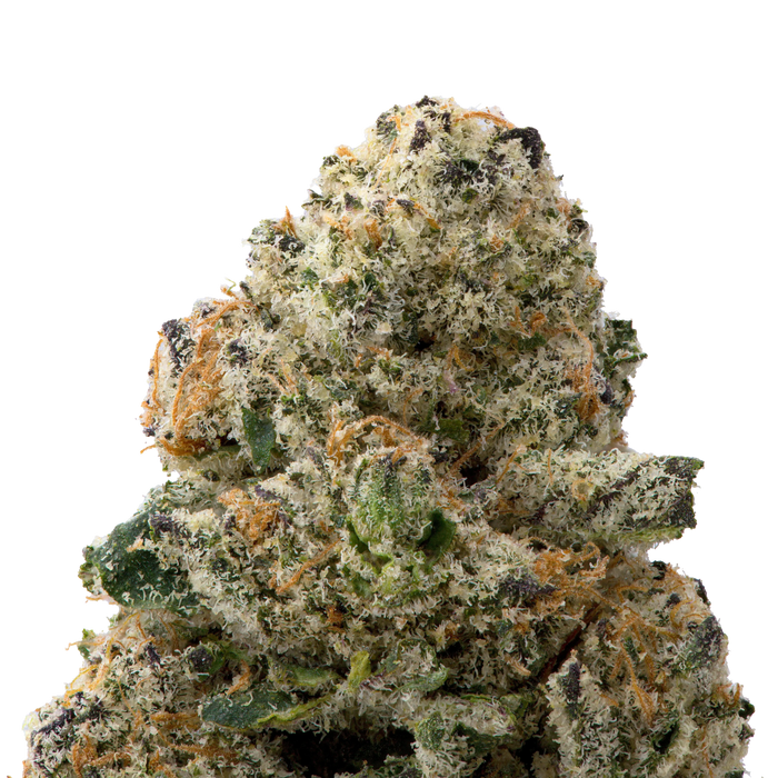 Colombian Gold Premium Indoor THCa Flower macro