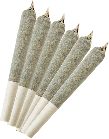 6 FREE Pre <br>Rolls