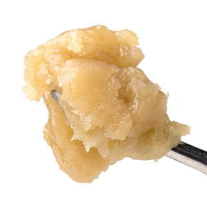 First Class Funk Live Rosin