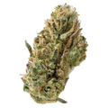 Greenhouse Smalls THCA Flower 