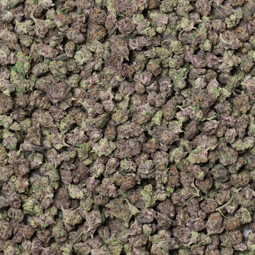 Governmint Oasis Smalls THCa Flower