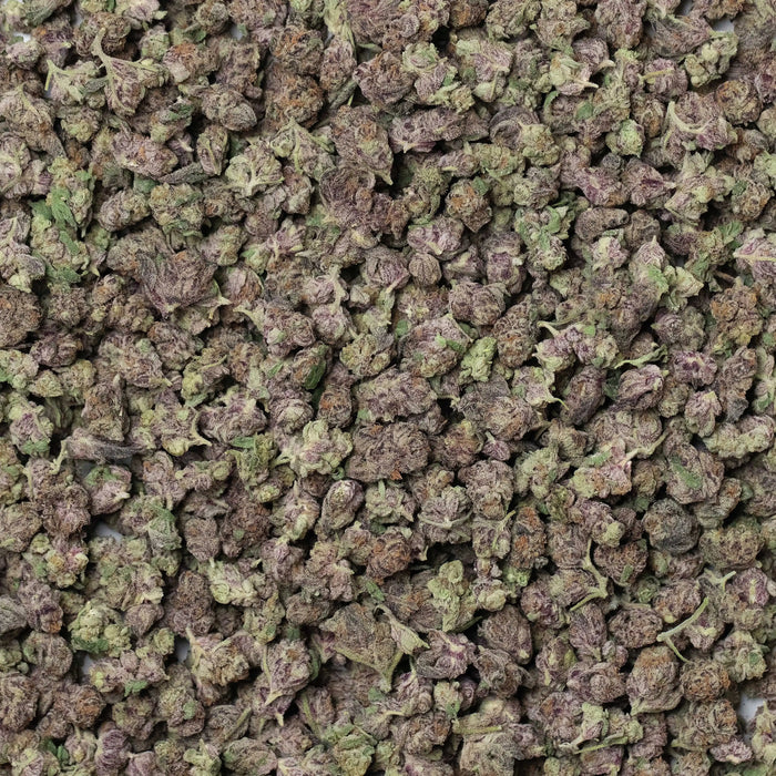 Governmint Oasis Smalls THCa Flower