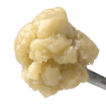 Grapefruit Runtz THCa Badder 