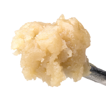 Lemon Heads Live Rosin