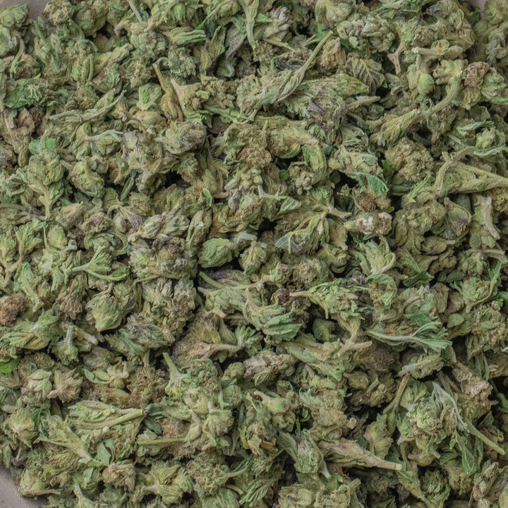 Lemon Mirengue Indoor Micros Ounce