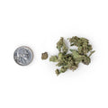 Lemon Mirengue Indoor Micros Ounce  quarter