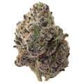 Northern Lights Exotic THCa Flower nug