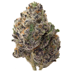 Northern Lights Exotic THCa Flower nug