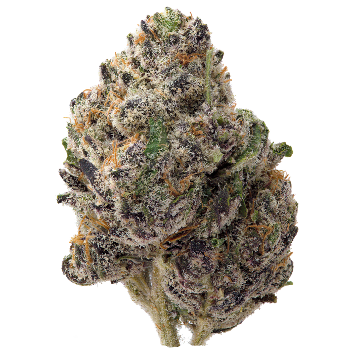Northern Lights Exotic THCa Flower nug