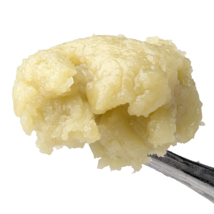 Papaya Juice Live Rosin
