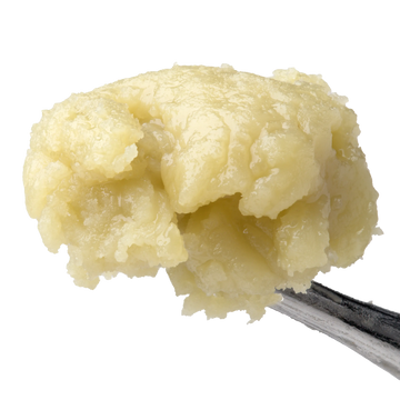 Papaya Juice Live Rosin