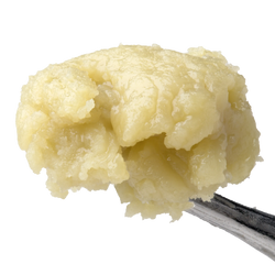 Papaya Juice Live Rosin