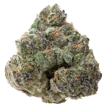 Pineapple Express THCa Flower