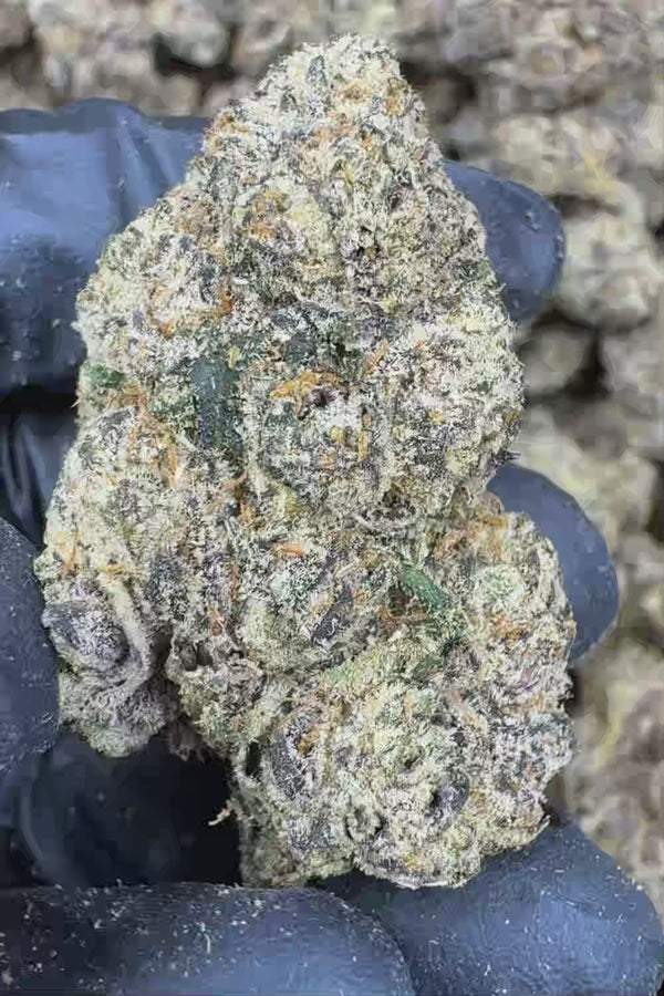 Gas mask exotic Flower