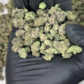 Blue Nerdz Smalls THCa Flower video