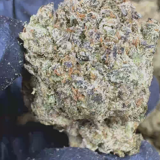 Sour diesel ThcA Flower