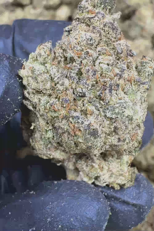 Sour diesel ThcA Flower