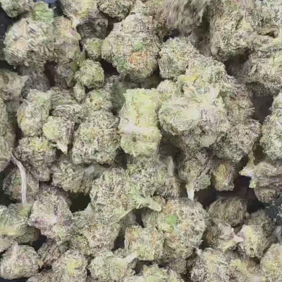 Gumbo Smalls Flower