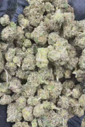 Gumbo Smalls Flower