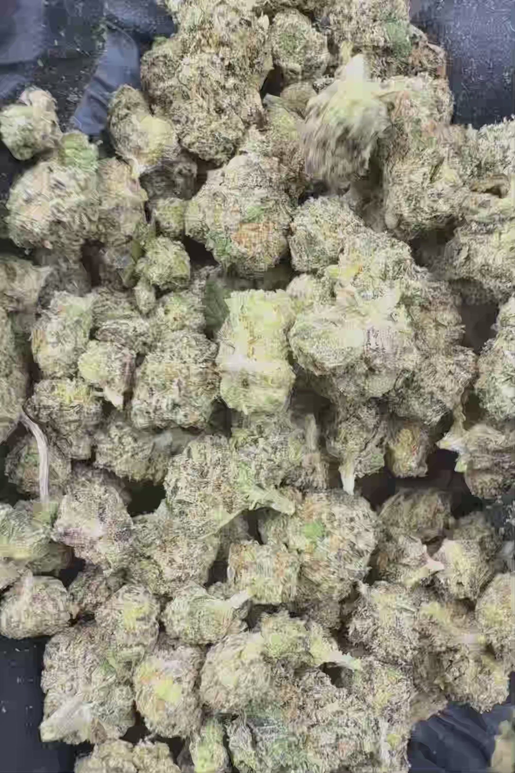 Gumbo Smalls Flower