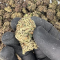 Archive Runtz THCa Flower video