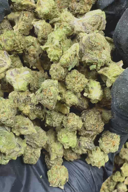 Gelato 41 Smalls THCa Flower