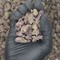Blockberry Smalls THCA Flower video