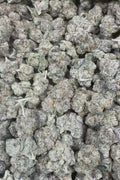 Lemon cherry belts Flower