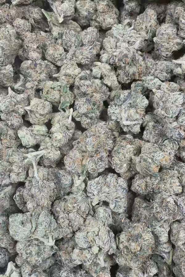 Lemon cherry belts Flower