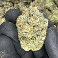 White Runtz x Pure Michigan THCA Flower video