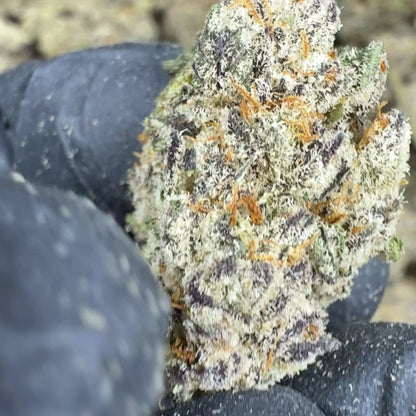 Burnout Cookies THCa Flower Ounces